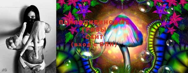 прущие крисы Каменка