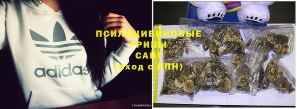 прущие крисы Каменка