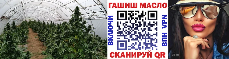 ТГК Wax Гагарин