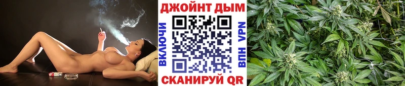 Купить где  Гагарин  Каннабис OG Kush 